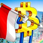 Indonesian Government Is Considering a Bitcoin Reserve