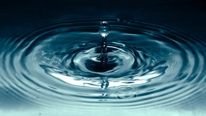 Ripple CTO Jumps Into The Fray After Caitlin Long Bashes Caitlin Long