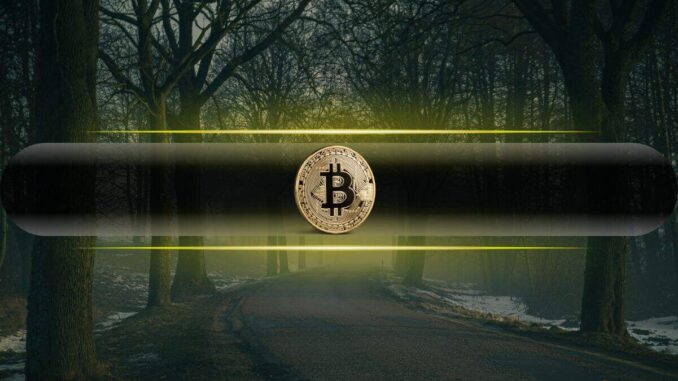 Will Bitcoin Hold the Line? Analysts Highlight the Most Critical Will Bitcoin Hold the Line? Analysts Highlight the Most Critical Support Levels
